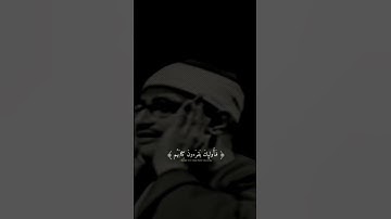 #قرآن#قران_كريم#تلاوة_خاشعة #اكسبلور#المصحف#لايك#الرحمن #المنشاوي#ترند#الجزائر#عبد_الباسط_عبد_الصمد
