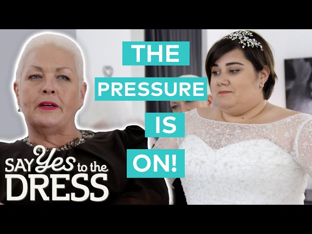 MIDSIZE CURVY BRIDES TO BE! 🤍💍✨ this video may be for you if