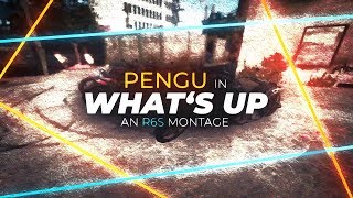Pengu in "What's Up" | Rainbow Six Siege Montage