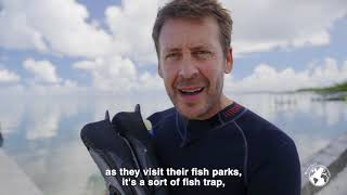 Great Hammerhead Shark – Tamataroa Ep.5 - The fish corral - Blancpain
