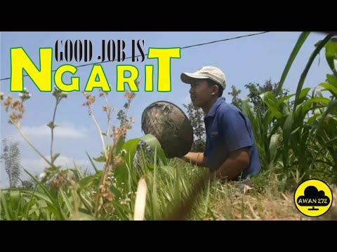 good-job-is-ngarit-||-film-pendek-jawa-timur