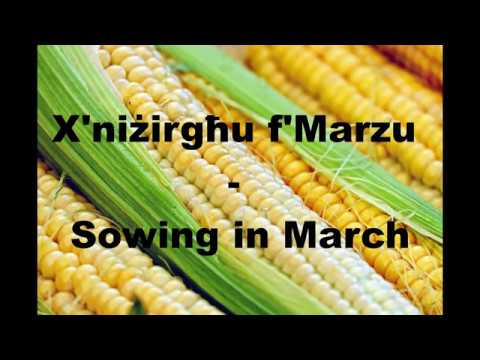 X&rsquo;tiżra u tħawwel f&rsquo; Marzu - Sowing in March