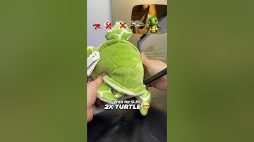 Turtle Evolution… 🐢