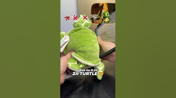 Thumbnail of Turtle Evolution… 🐢