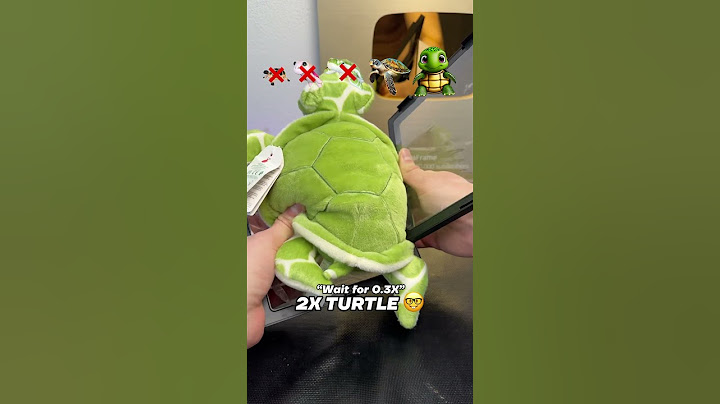 Turtle Evolution… 🐢