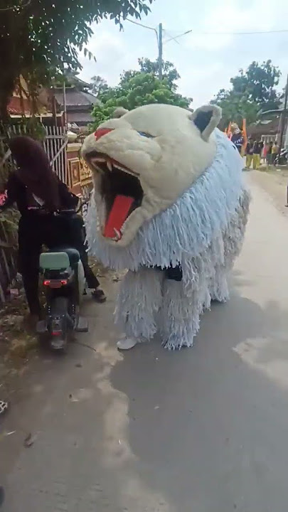 CAN MACANAN GIGIT KAKI TANTE CANTIK