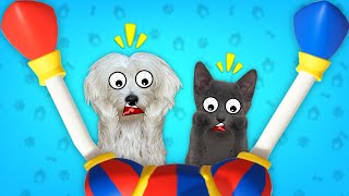 POMNI EMBARAZADA DA A LUZ A SU BEBE EN EL ASOMBROSO CIRCO DIGITAL !! 🤡🍼 by Anima Dogs and Cats 57,963 views 4 months ago 8 minutes, 2 seconds