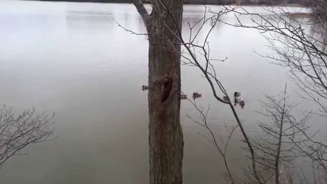 Russell Lake, Dartmouth YouTube