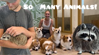 We Went to a Pet Cafe in Bangkok Thailand!