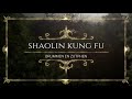 Shaolin Kung Fu 2020