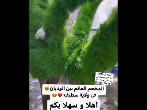 رحلة الی شلالات واد البارد سطيف يوم الجمعة 16 جوان 2023 اهلا وسهلا بكم