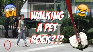 Walking A Pet Rock?!? | SGAG