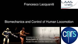Francesco Lacquaniti - Biomechanics and control of human locomotion