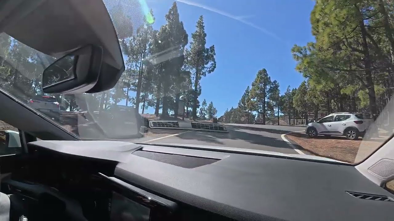 Gran Canaria - Gebirge Autoreise, Februar 2025. Большой собачий горы.