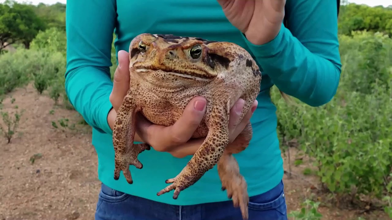 Conheçam meu príncipe encantado kkkkkkkkkkkk