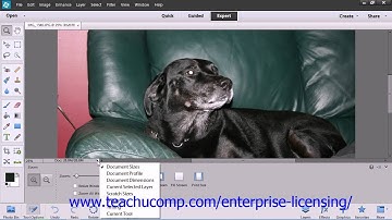 Adobe Photoshop Elements 12 Tutorial Edit Modes Employee Group Training  3.9