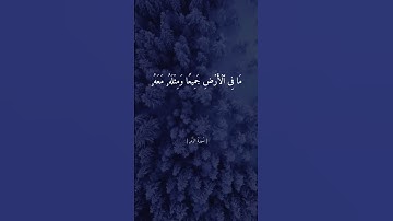 (وإذا ذكر الله وحده اشمأزت قلوب الذين لا يؤمنون بالآخرة ) القارئ الشيخ ماهر المعيقلي