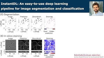 InstantDL - An easy to use deep learning pipeline for image segmentation and classification