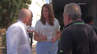 WERAQ TAL-PALM GĦALL-ISTAĠUN TAL-LAMPUKI