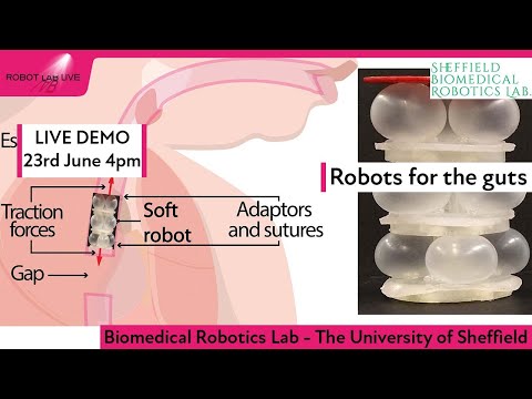 Robots for the Guts | Robot Lab Live