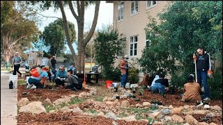 Our Worthy Place -Pollinator Pathways Lawn Transformation Part 3 Native Plants For Pollinators