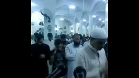 ركعتين التراويح من مسجد عثمان الشيخ محمد سعيد كرداسة يوم الخميس سورة المائدة ٢٠١٩/٥/٩م ١٤٤٠/٩/٤هجريا