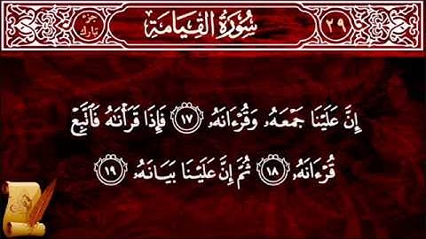 الشيخ مقدام الحضرى   سورة القيامة