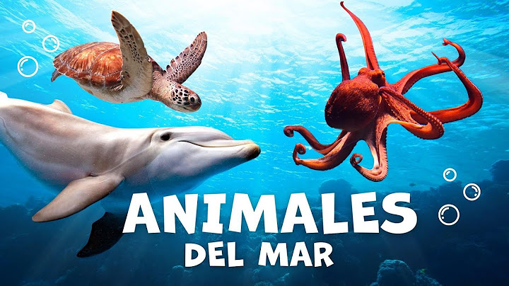 Los animales acuáticos para niños con vídeos | Animales del mar |  Vocabulario para niños