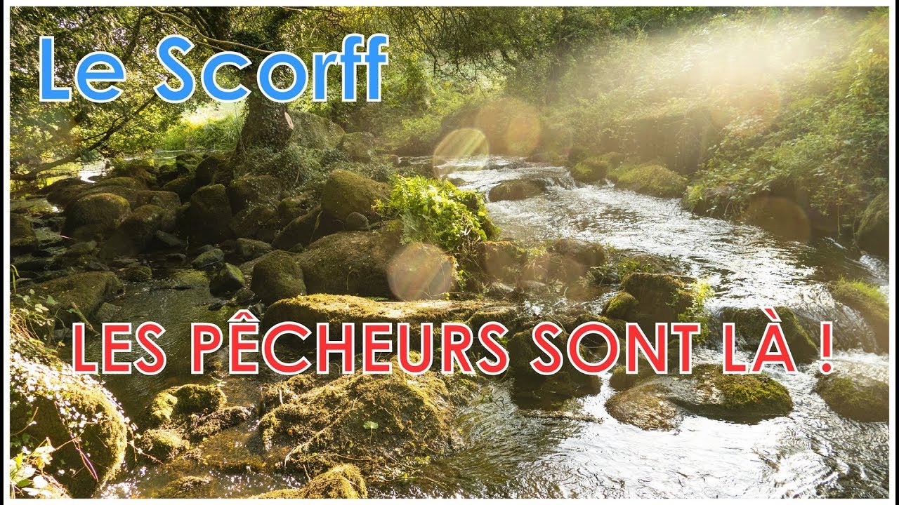 LES PÊCHEURS S'INVESTISSENT EN MORBIHAN !