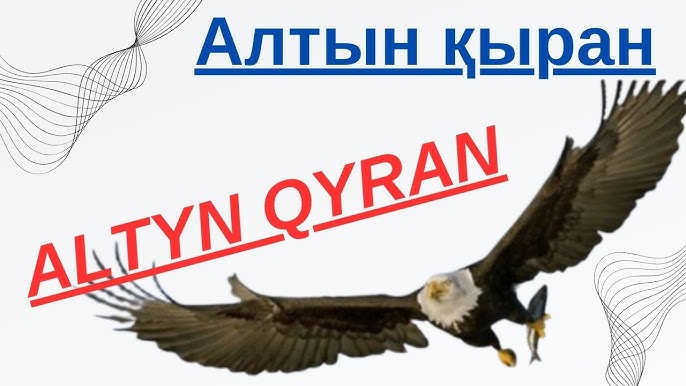 Олар бір қызды арақ ішіп алып, көпшіліктің арасында ұрып-соқты (видео)