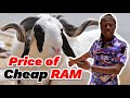 Cheap RAMs for Sale in The Gambia