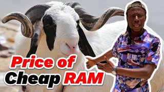 Cheap RAMs for Sale in The Gambia