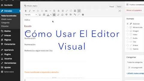 4 Cómo Usar El Editor Visual en WordPress