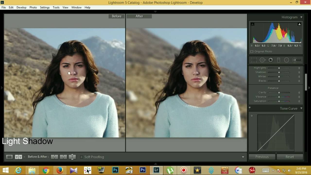 lightroom how to blur background