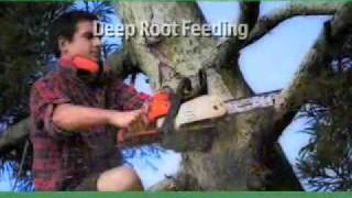 Arboristic Tree Care Coeur D Alene, ID