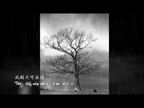 [VIETSUB + LYRICS] 不该用情 | KHÔNG NÊN DỤNG TÌNH - 勝嶼 | THẮNG DỮ