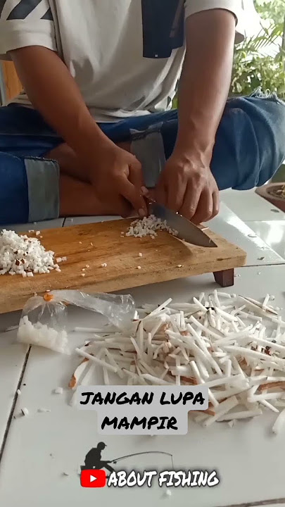 Umpan Bawal Babon Alami Tanpa Essen #umpanjitu #fishing #mancingmania