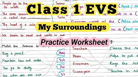 Evs Worksheet for Class 1| Class 1 Evs Worksheet| Evs Worksheet