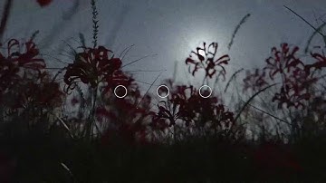 Anthesis - Deterioration