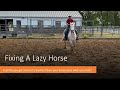 Fixing A Lazy Horse