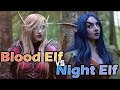 Sindorei  kaldorei  world of warcraft fan film