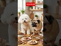 mis perritos comiendo un rato #pets #short #funny #ia