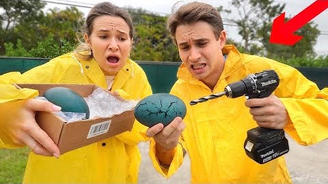 I HATCHED THE MYSTERY EGGS ! WHATS INSIDE ?!