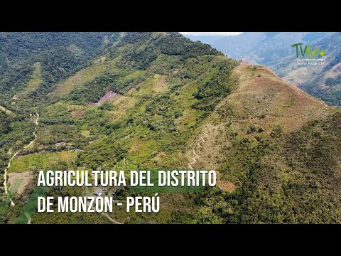 Video: ¿Qué agricultura depende únicamente del monzón?