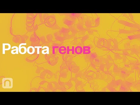 Работа генов – курс Константина Северинова / ПостНаука