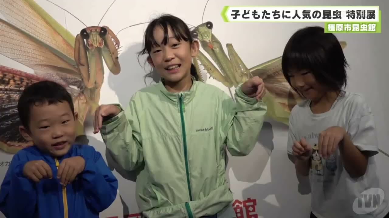Praying Mantis 1 - YouTube
