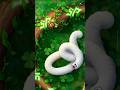 WORMS ZONE MAGIC GAMEPLAY TOP1 SCORE SAAMP GAME SAAMP 