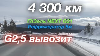 4300 км за 8 дней ГАЗель NEXT G2,5 Рефрижератор 5м