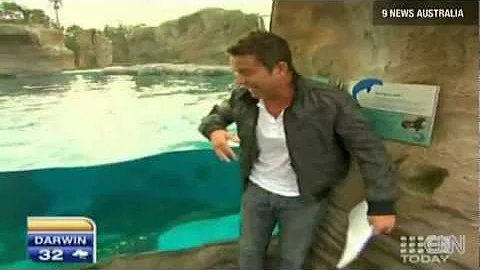 Pelican attacks TV Weatherman, Steve Jacobs [EPIC]