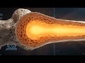 RBC (Red Blood Cell) Kaise Banti Hai? | Erythropoiesis Process Explained Red Blood Cell Formation